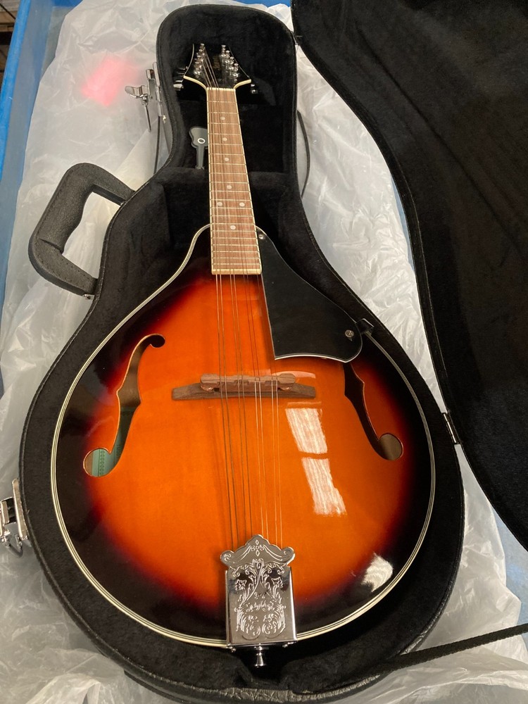 Taurus Mandolin TM-001 (Damaged case)