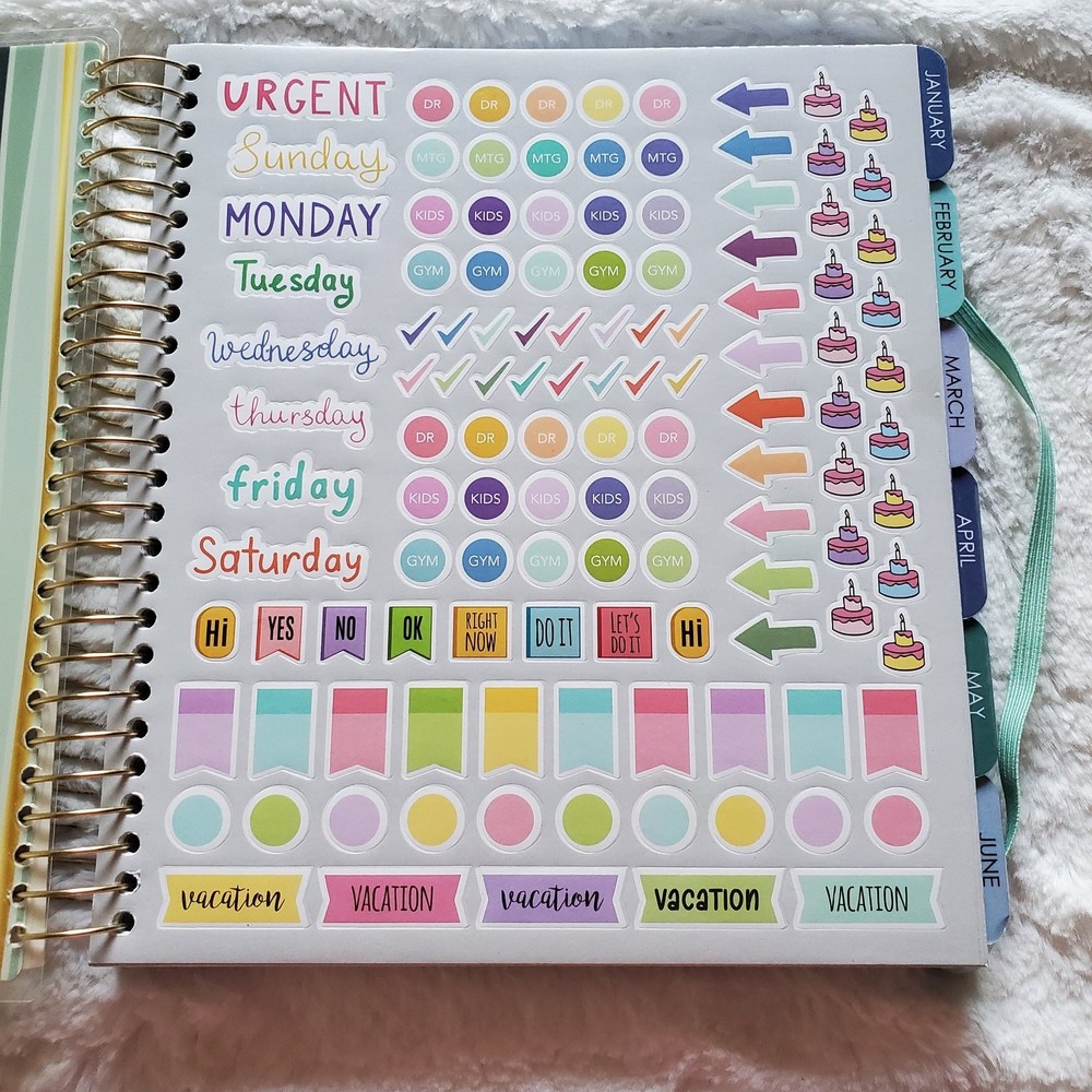 The Creative Expert 12 Month Dated Planner Read Description