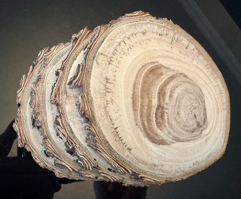 wood coaster set