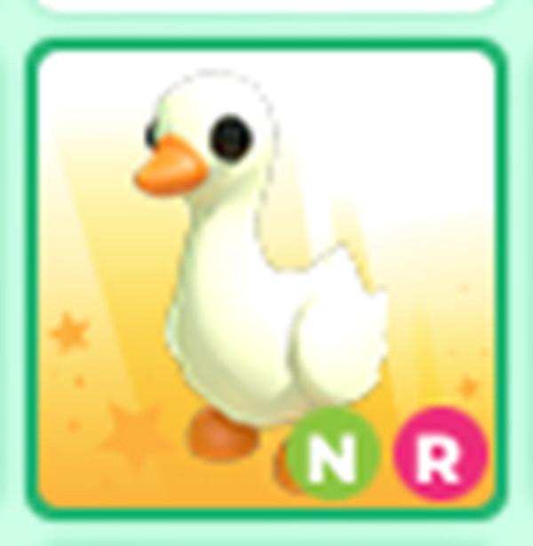 Neon Goose  - Cheap & Trusted Store!!