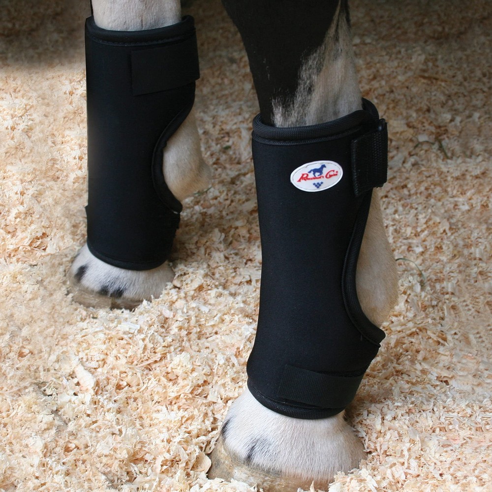Equine Bed Sore Boot | Protects Fetlock Joint from Developing Bedsores | Brea...
