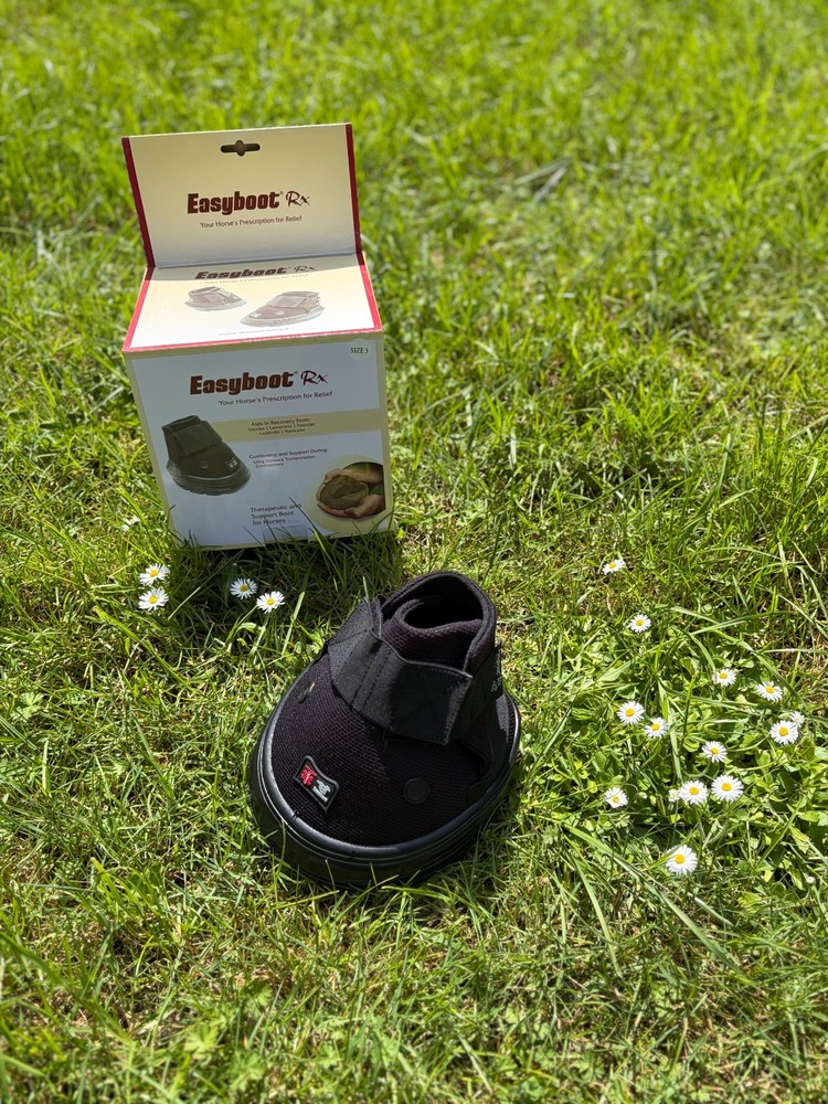 Easyboot Rx Therapeutic Boot PAIR size 5 NIB