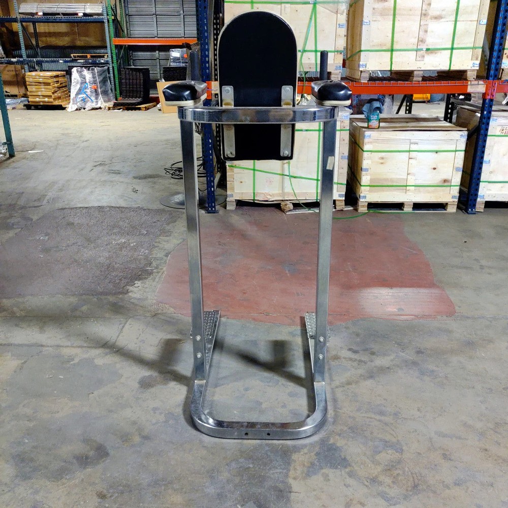 Vertical Knee Raise and Dip Station