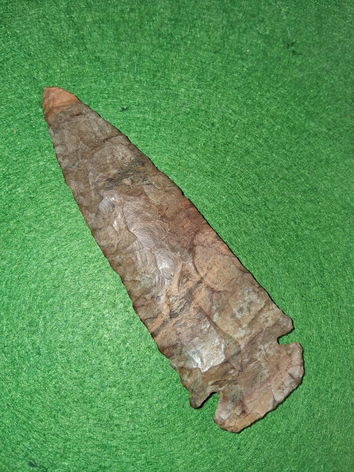 Dovetail -Collectors Grade- Bennett COA Humphrey Co, Tennessee