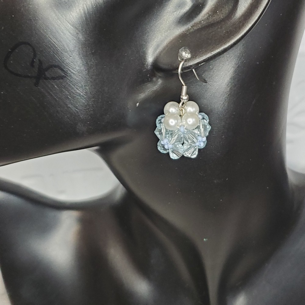 Multi Colored Beaded Earrings Drop