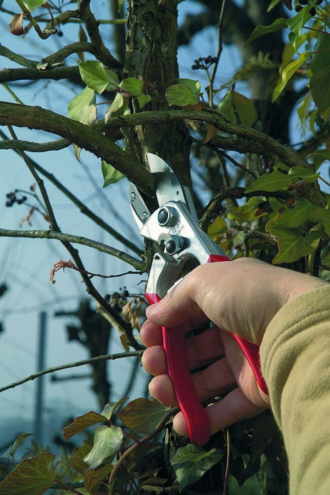 Felco 31 Pruning Shear, Anvil Style, Swiss Made, High Performance