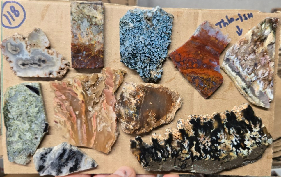 Assorted Plume & Moss Agates, Trimmed Cabochon Slabs Preforms 10 Pcs, Flat 118