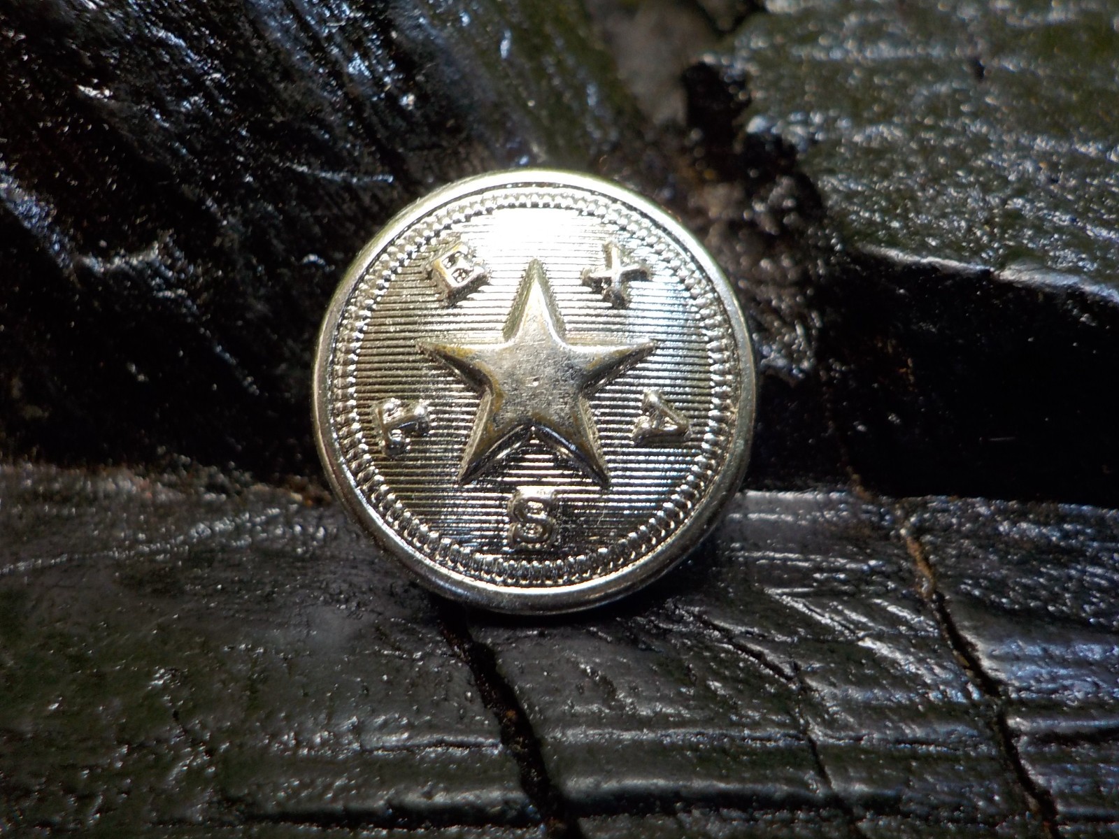 Texas State Seal Vest Button Silver Color with Free Button Case