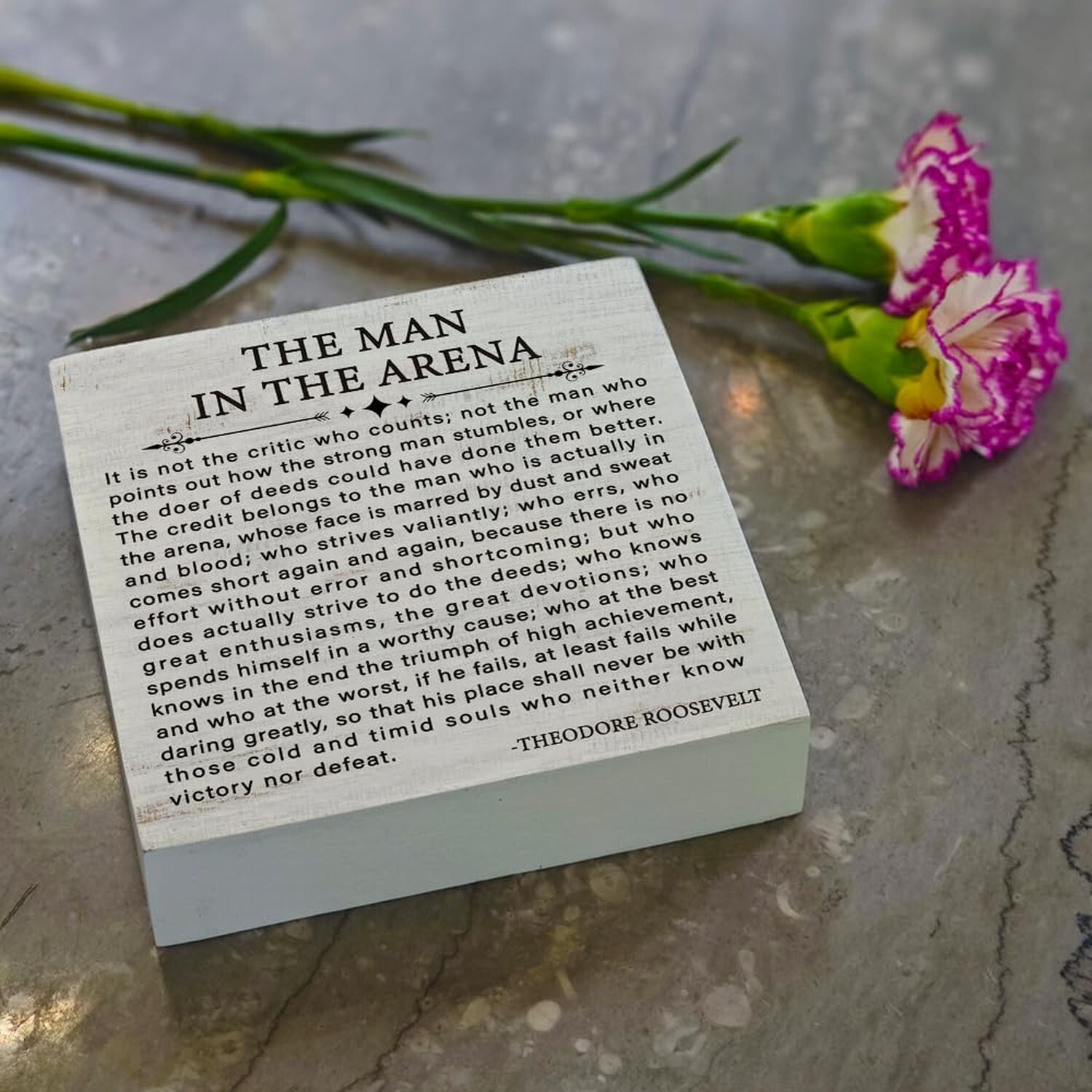 Inspirational Quote the Man in the Arena Wood Box Sign, Motivational Office G...