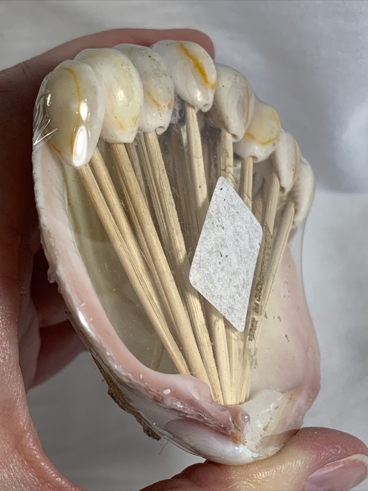 Hilo Hatttie Shell Tooth Picks