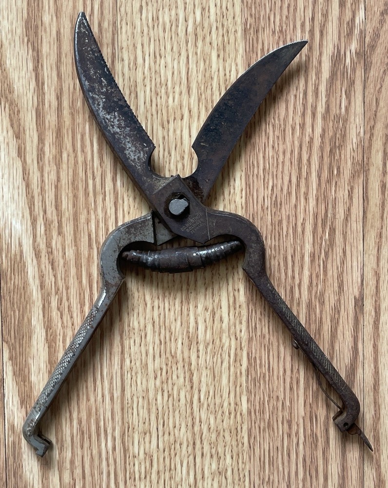 VINTAGE ED WUSTHOF 10” PRUNING/POULTRY SHEARS~LOCKING SPRING SOLINGEN GERMANY