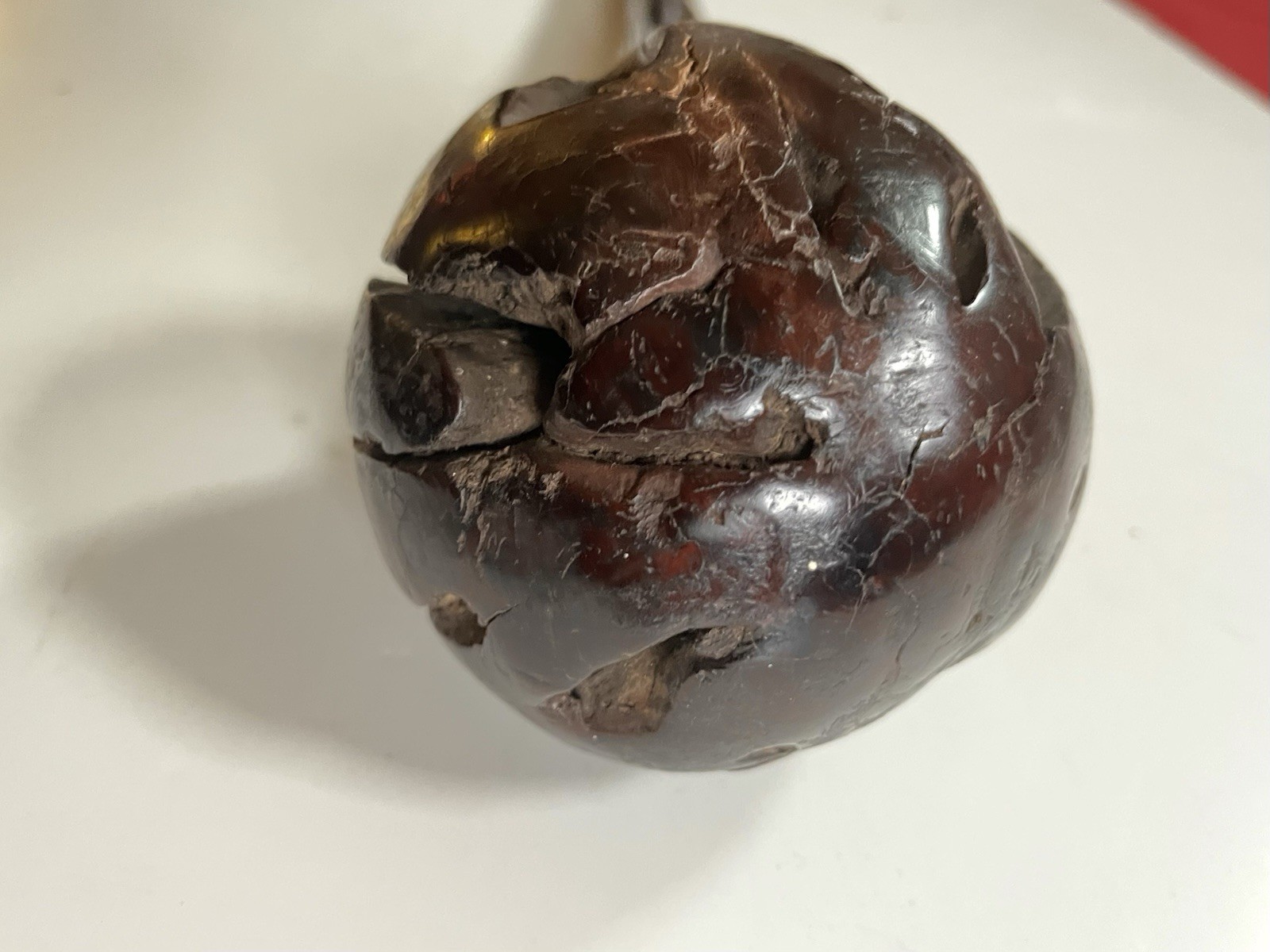 Ula Fijian, Ula Tavatava, sali, kiakavo, Fiji