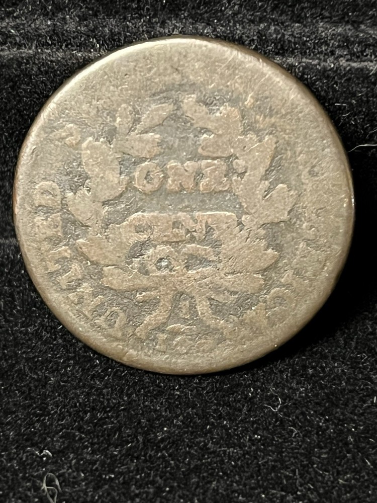 draped bust large cent Cull