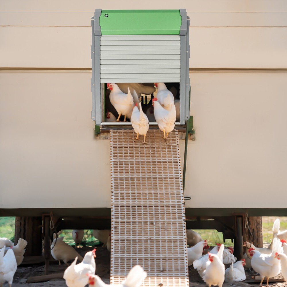 Automatic Chicken Coop Door Solar Powered Chicken Coop Doors with Light Sensor