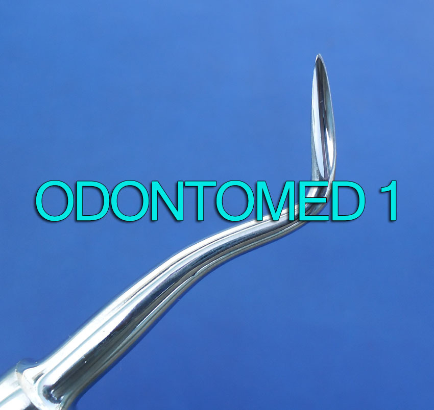 3 Flohr Dental Root Elevators Right Dental Instruments
