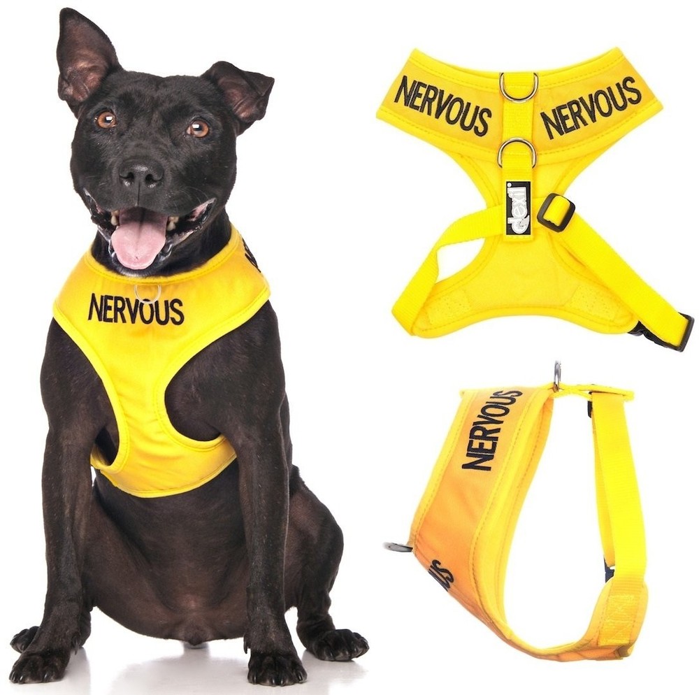 Nervous Yellow Color Coded Waterproof Padded Adjustable Non Pull Front and...