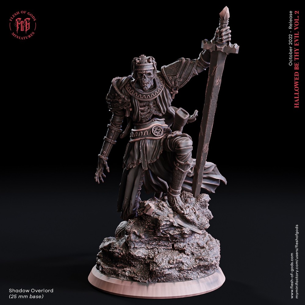 DnD Shadow Overlord 32mm Scale Mini TTRPG