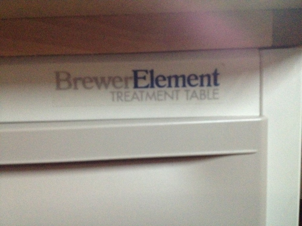 Brewer Element Treatment / Exam Table