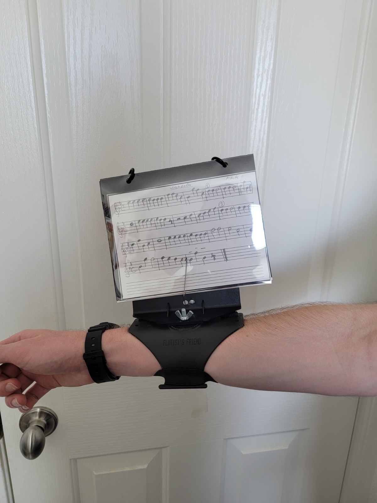 DEG Flutist's Friend Flute and Piccolo Marching Lyre HC225 Flutist Music Arm