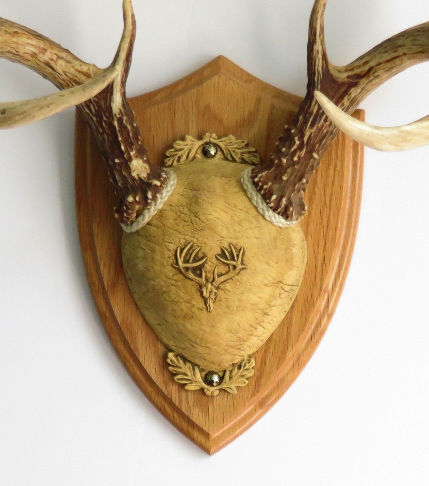 TTW Ultimate Antler Mounting Kit - Medium Oak