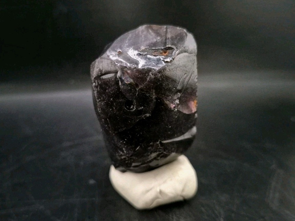 Real Fossil Dinosaur Egg Opalized