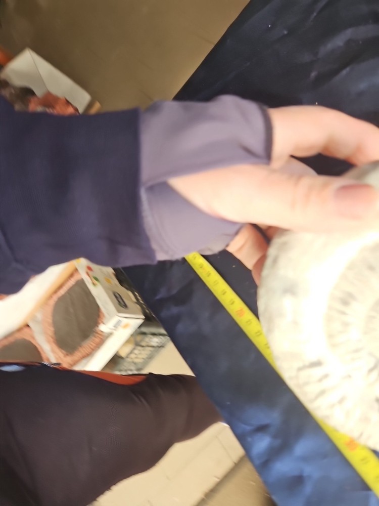 Giurassico Alonte Fingerprints