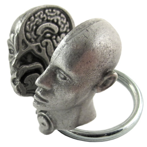 Anatomical Human Head Keychain - Medical Anatomy, Biology, Neurology