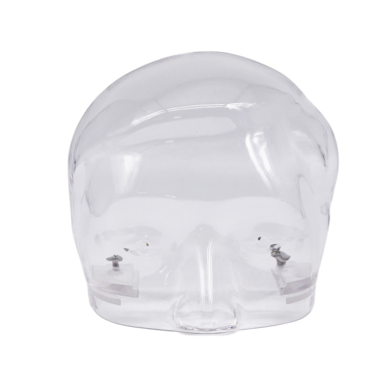 Dental Head Model Simulator Phantom Dentist Teaching Head Model 28pcs Teeth USA