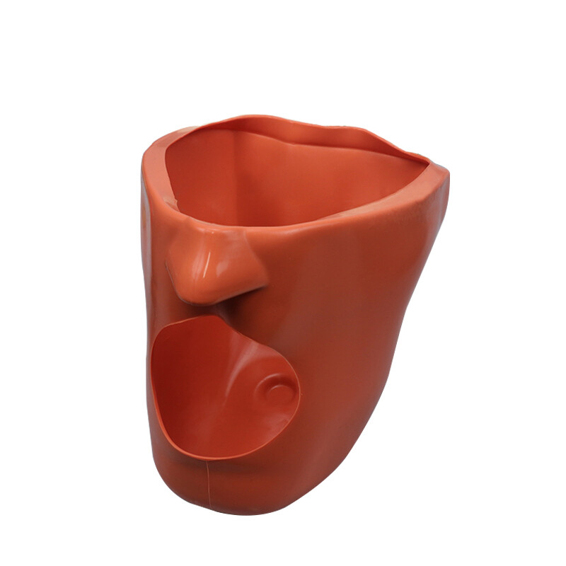 Dental Head Model Simulation Dentistry Manikins Simulator Phantom Training Model