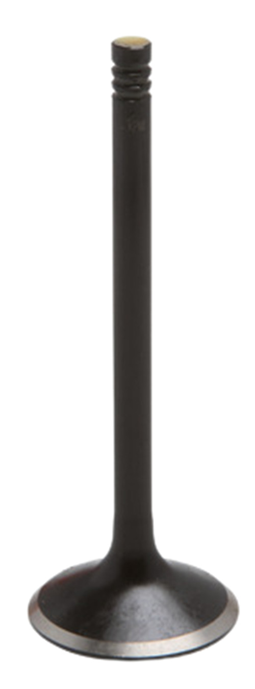 Yamaha Raptor 700 OEM Replacement KIBBLEWHITE Intake Exhaust Valves KP RED Seals