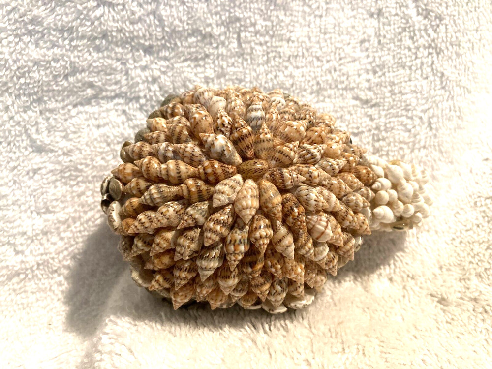 Shells Turtle Figurine 1 1/2" T x 4" x 2 3/4"
