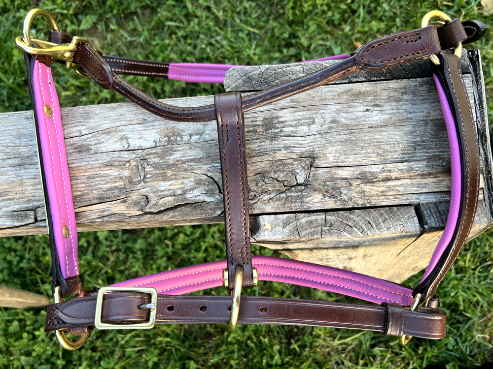 Leaders 3/4" Leather Halter Pink Padded with Solid Brass Hardware