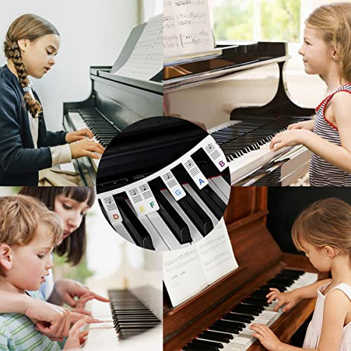 Removable Piano Keyboard Note Labels, 88 Keys for Beginners Note Guides, Made