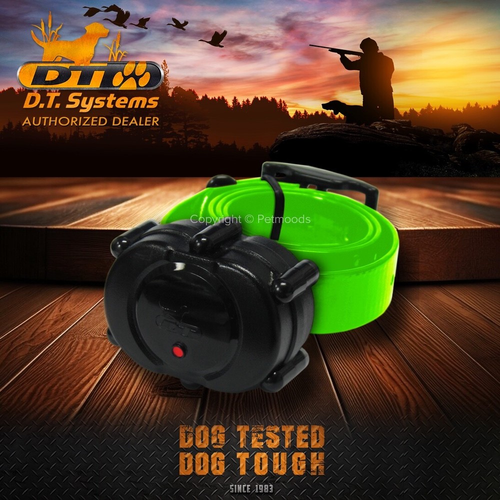 DT Systems Micro-iDT PLUS Add-On Collar Dog Receiver MAXX-Range 360 Green Strap