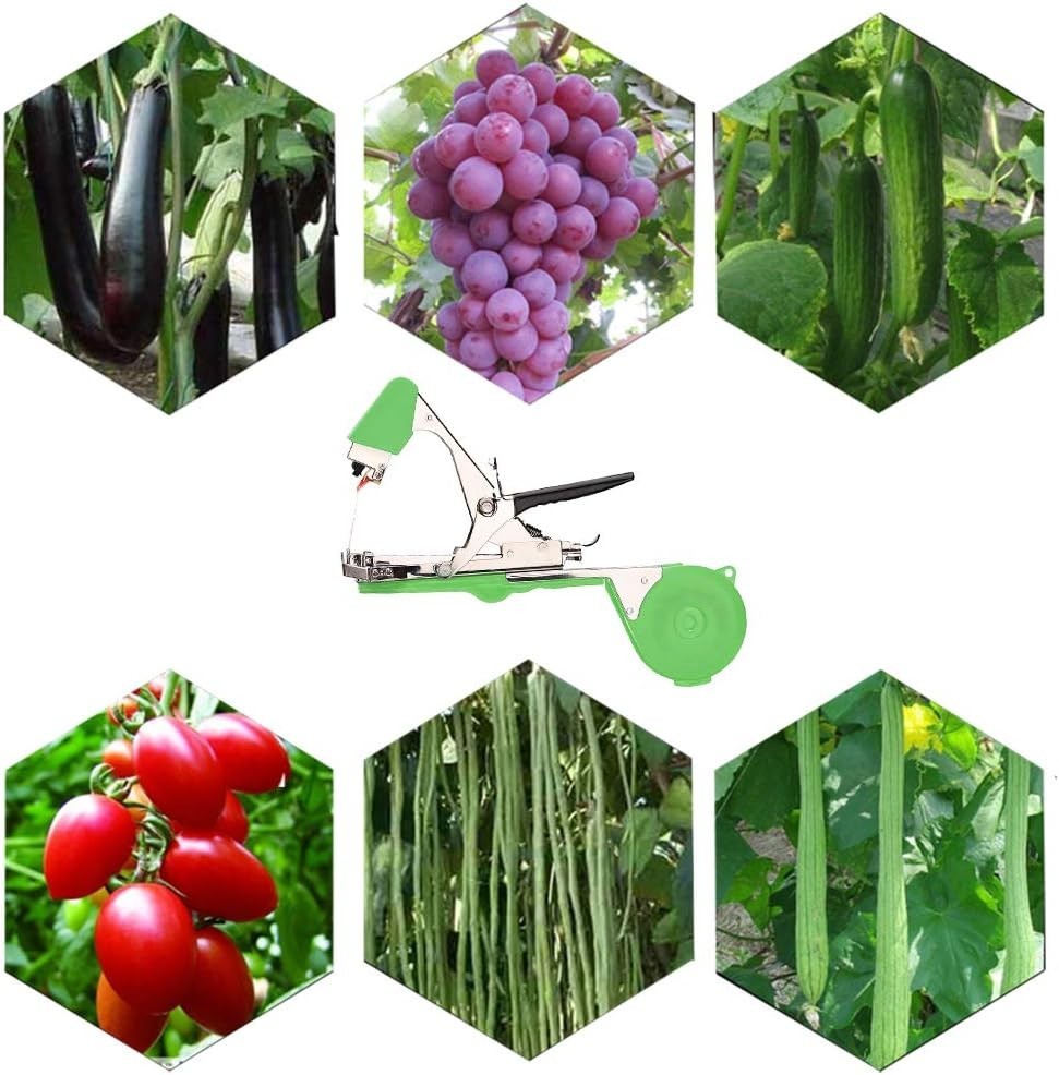 Professional Vine Tying Tool - Fruit and Vegetable Support