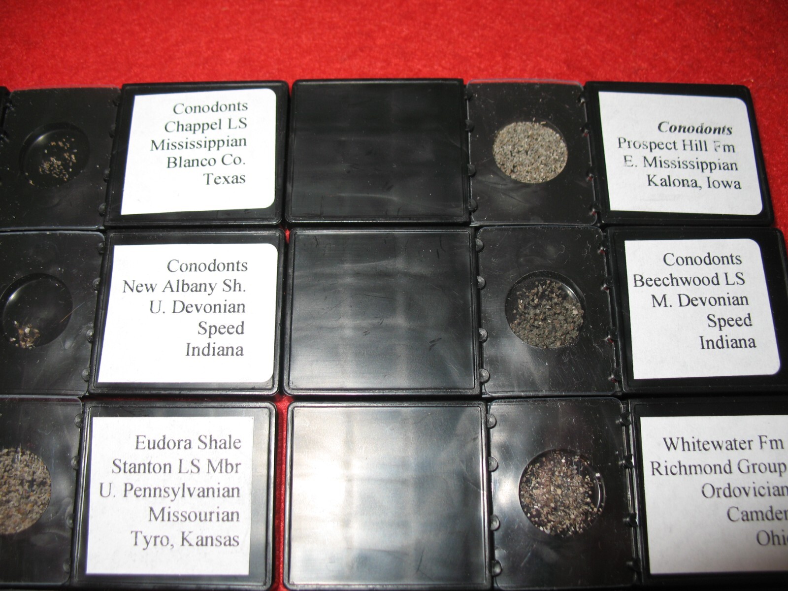 Ordovician to Triassic Conodont microfossil 8 slide collection rare fossils