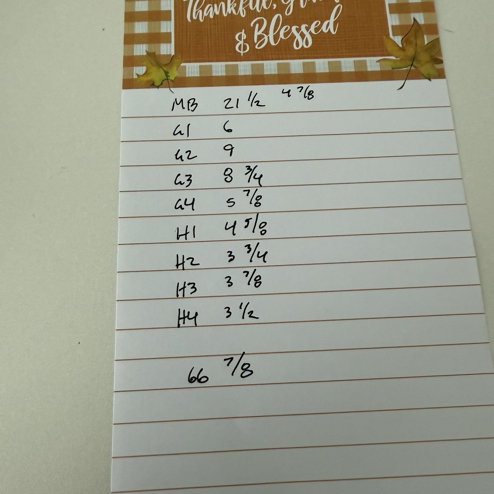 Wild Whitetail Deer Antler Shed Horn Rack Decor 5 Point Man Cave Decor 66"