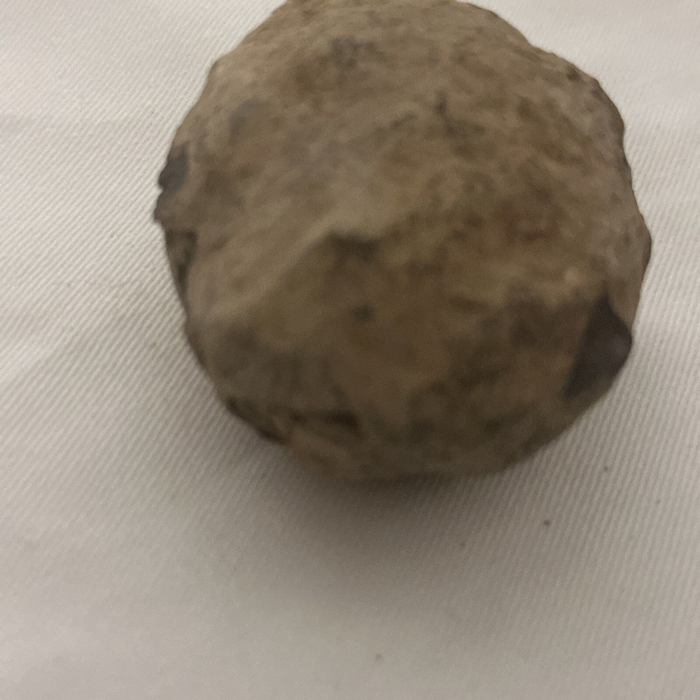 2.2” Flexicalymene Trilobite Nodule