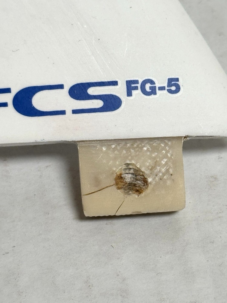 FCS FG-5 ULTRA LIGHT EPOXY SURFBOARD FIN SET