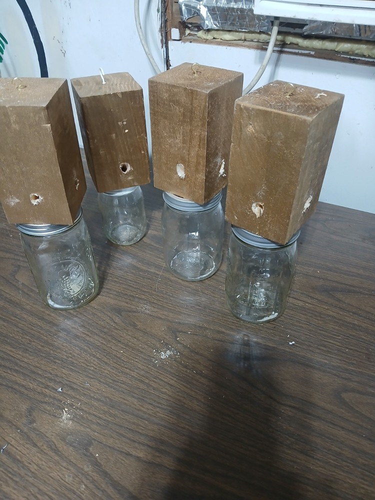 carpenter bee traps Handcrafted