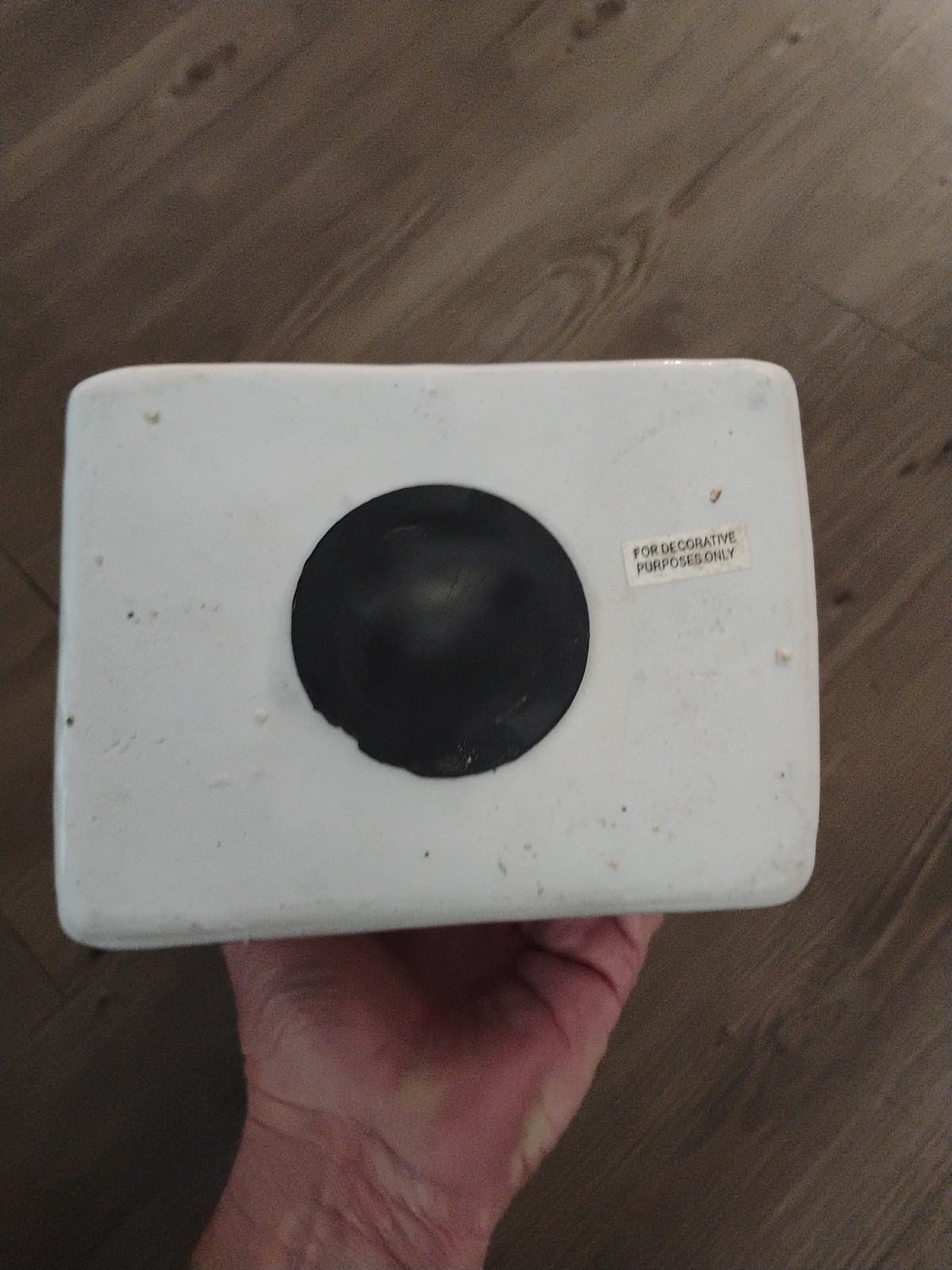 Phrenology Bust L.N. Fowler Scientific Psychology 12" Bank Ceramic Head