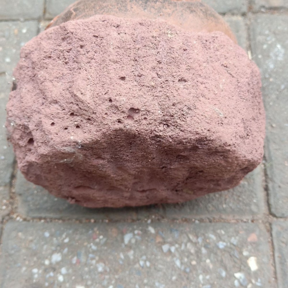 Unique and authentic antique egg fossils