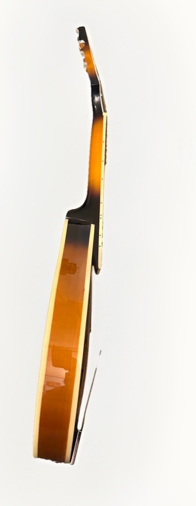 New (open Box) A Style ROGUE Mandolin - No Case