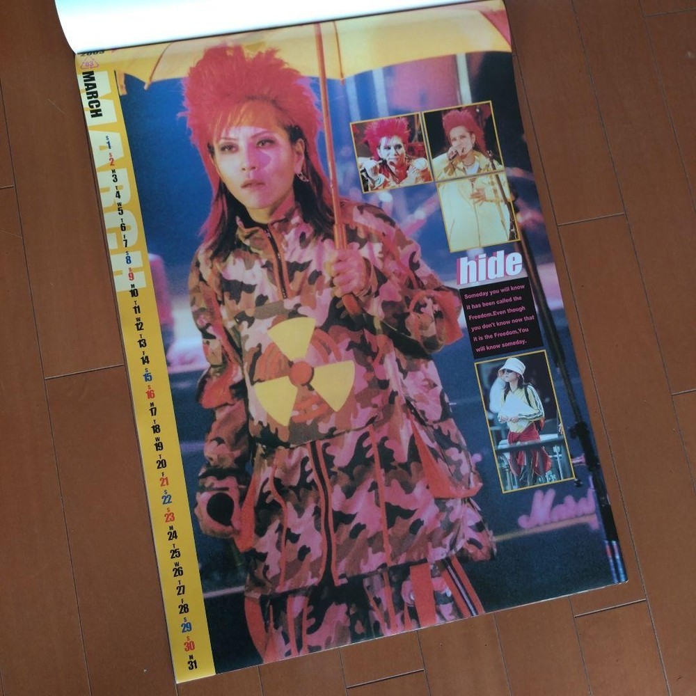 hide calendar 2003