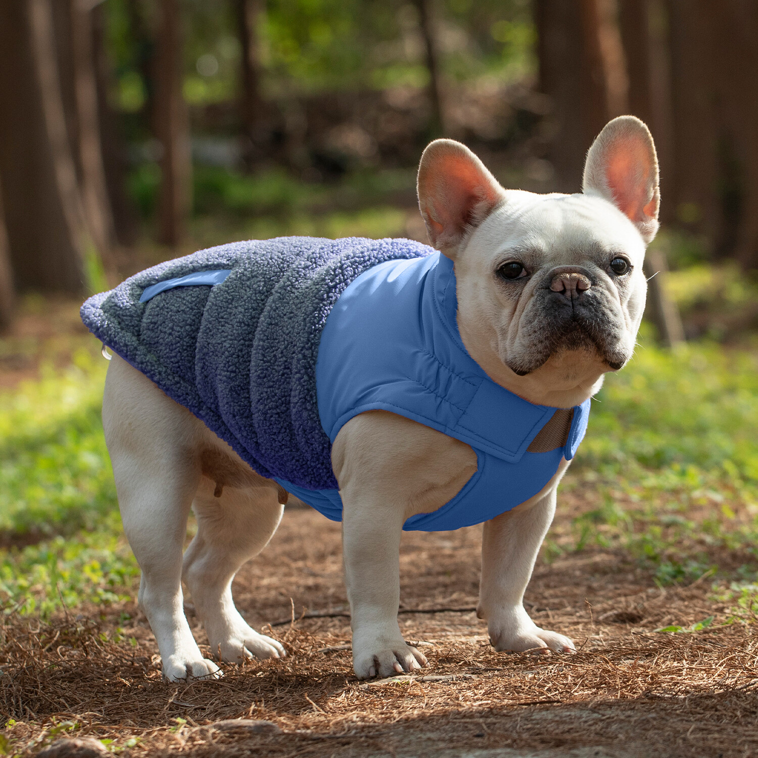 Windproof Dog Coat Snow Jacket Vest Adjustable Strap S-4XL Blue New