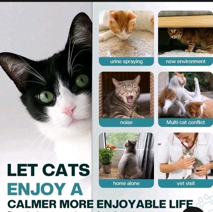 Cat Calming Diffuser 4 in 1 Multicat Calming Pheromones Diffusers Relief Stress