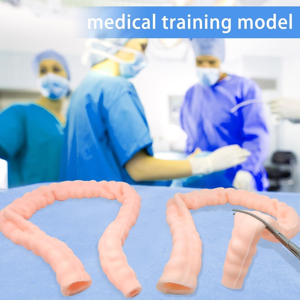 Large Intestine Model,Colon Suturing Practice,Electrocautery Practice, Unders...
