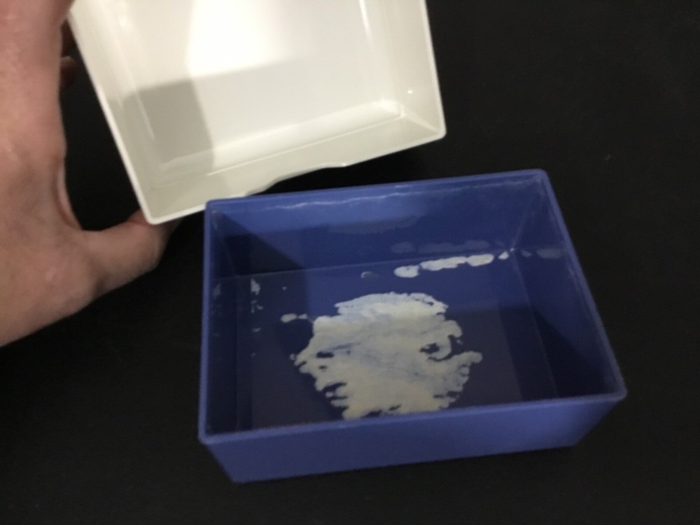 Vintage Estée Lauder Foaming Bath Grains Empty Container