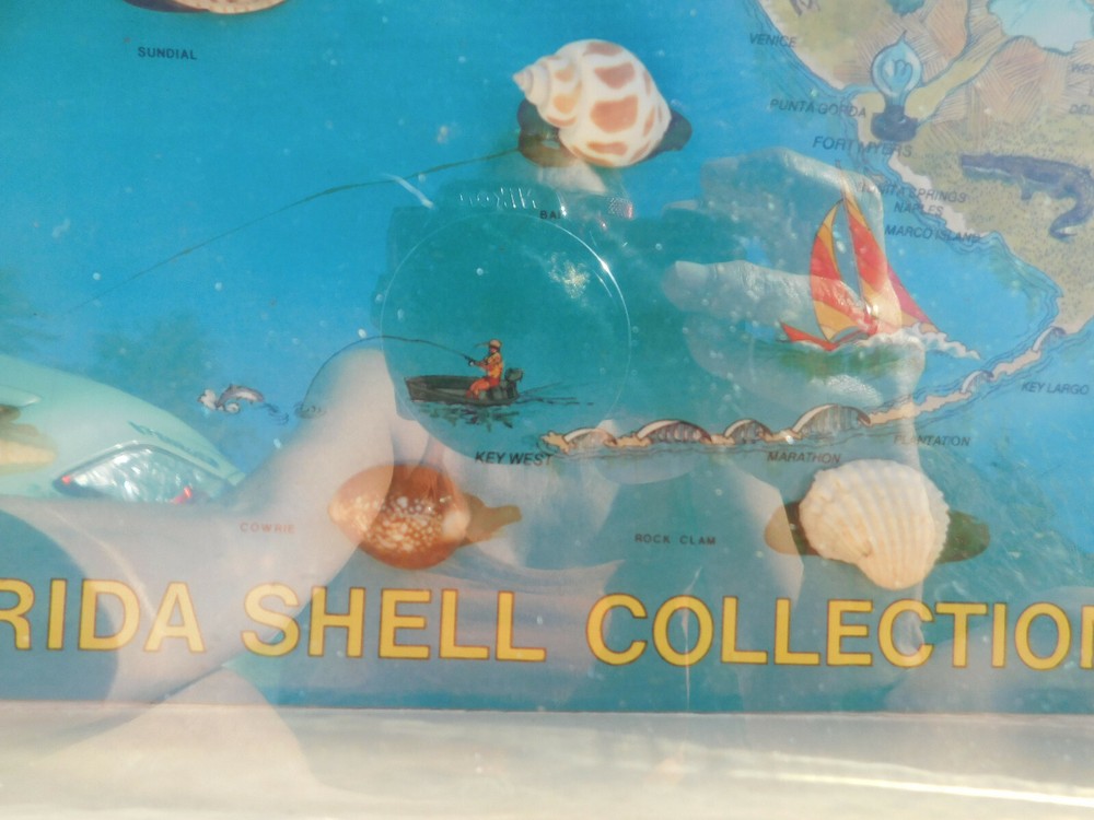 Vtg RARE Retro Florida Shell Collection Box Cool Map Beachcomber 1986 Key West +
