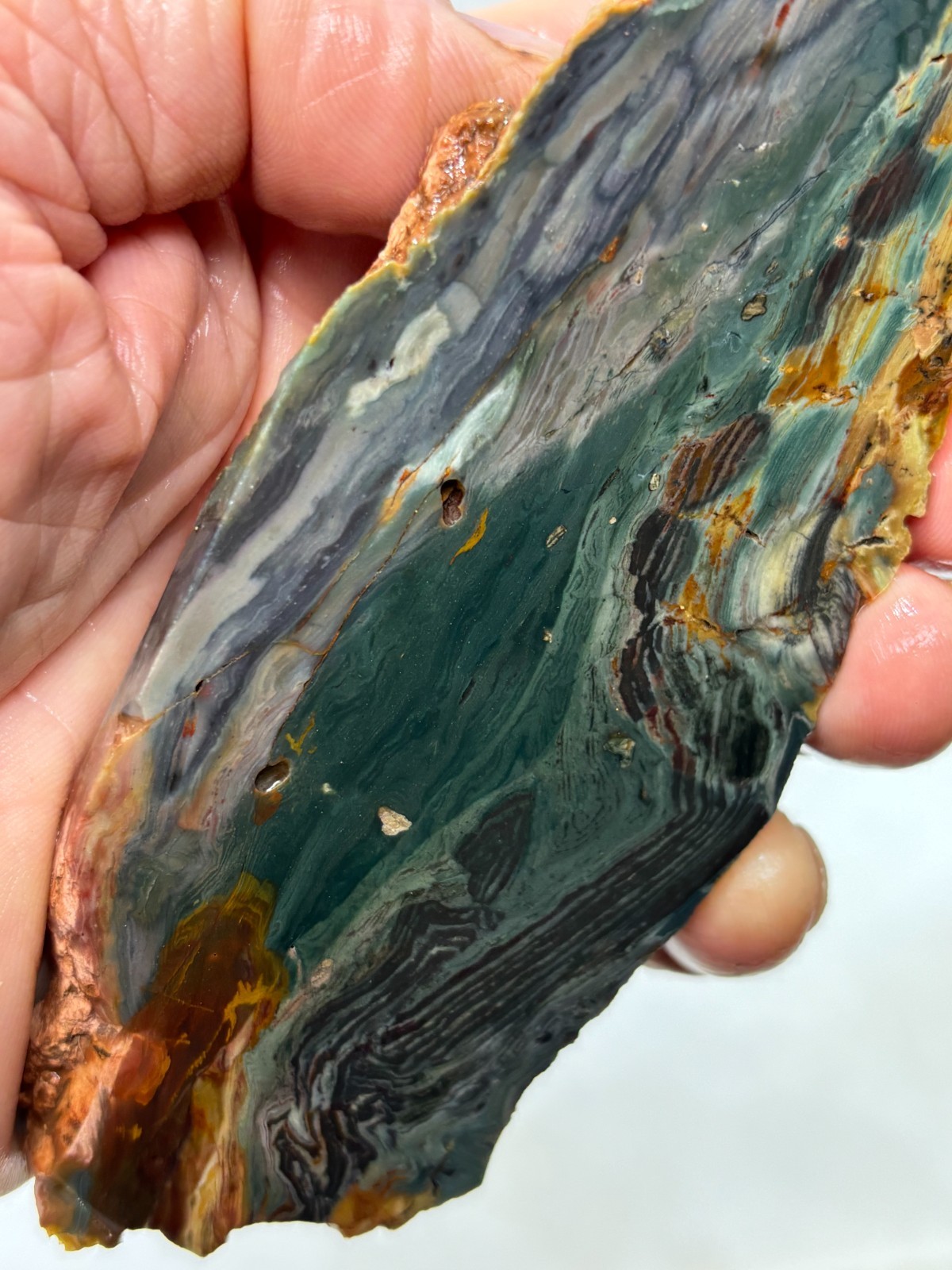 Gary Green Caldera Freedom Jasper Slab Cabbing Lapidary Combo Ship Avail